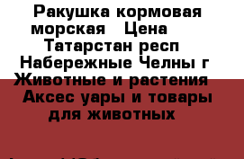 Ракушка кормовая морская › Цена ­ 4 - Татарстан респ., Набережные Челны г. Животные и растения » Аксесcуары и товары для животных   